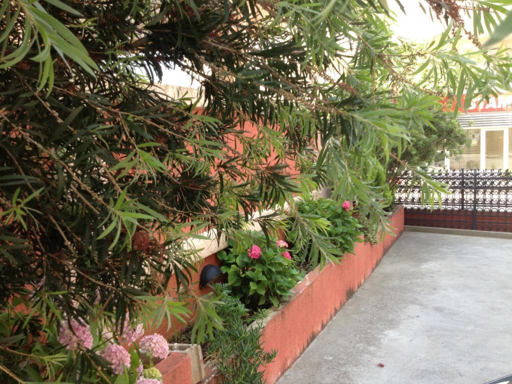 Apartments Boreta بودفا المظهر الخارجي الصورة